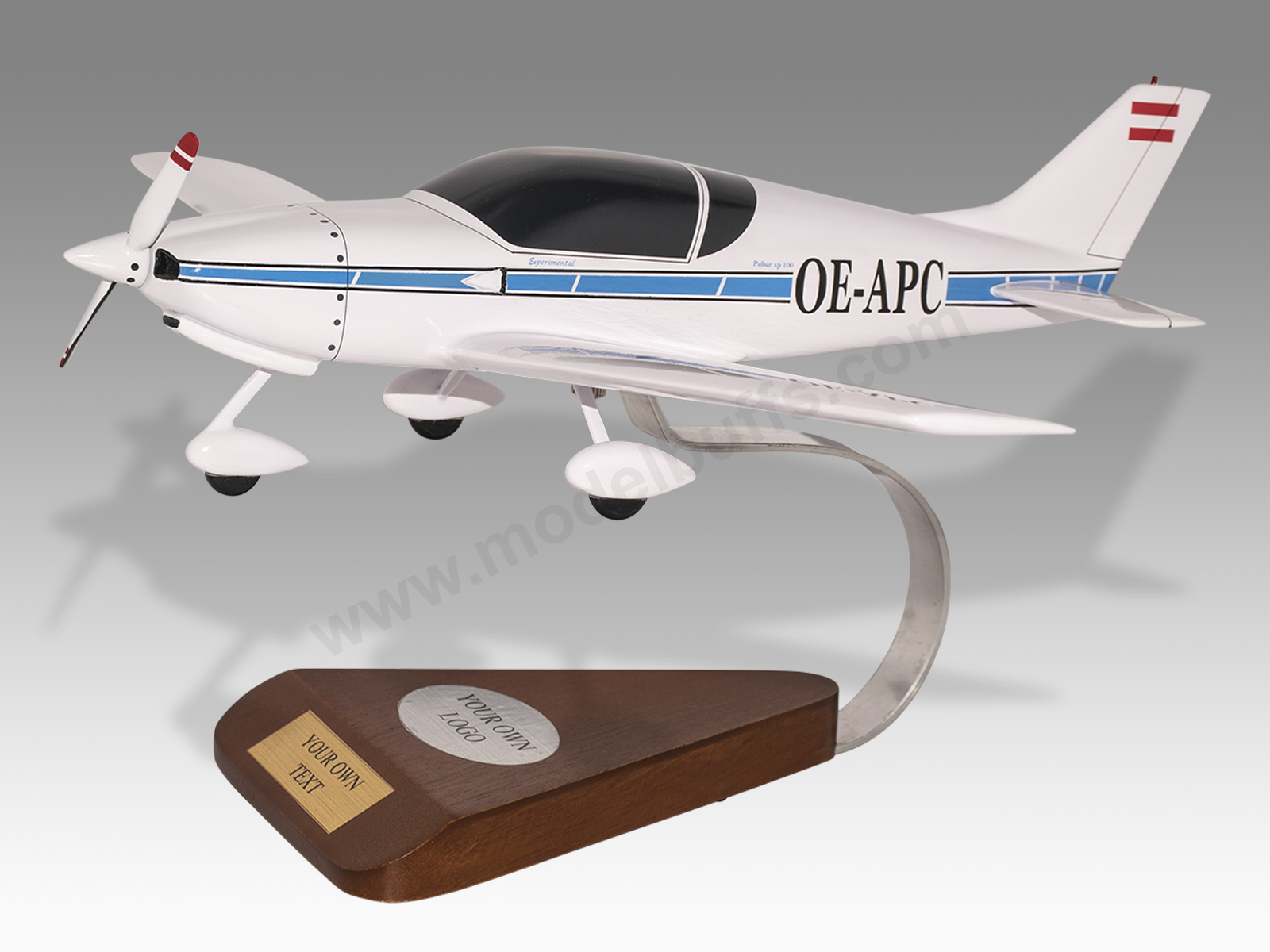 Aero Designs Pulsar XP100 Model